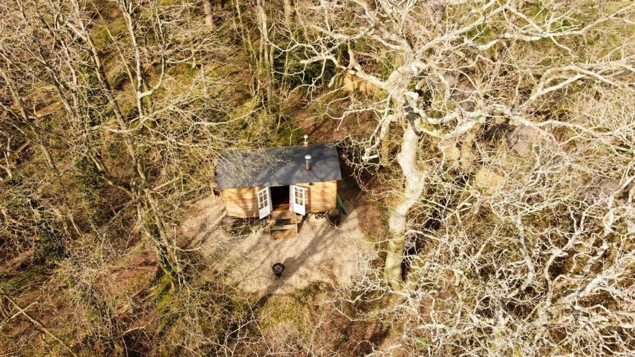 Bluebell Shepherds Hut Rolvenden 외부 사진